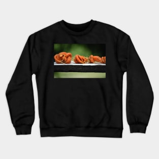 Crooked Carrots Crewneck Sweatshirt